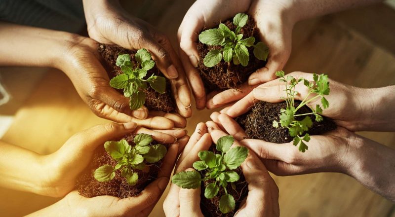 Menjaga Bumi dengan Aksi Nyata: Pentingnya Peran Dinas Lingkungan Hidup